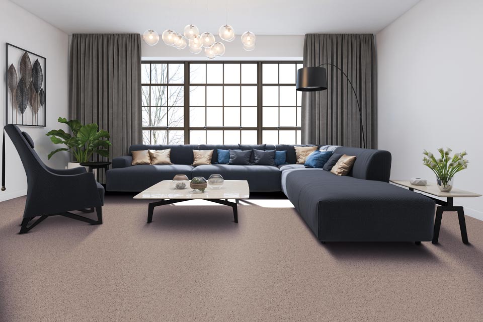 brown carpet in living room with dark blue couch and lighting.